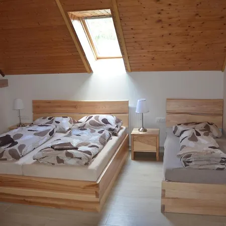 U Konicka Guest house
