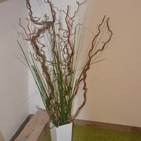 بيت ضيافة U Konicka 3*