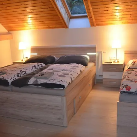 بيت ضيافة U Konicka