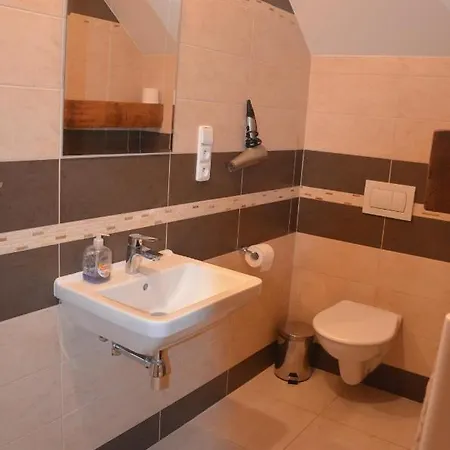 U Konicka Guest house 3*
