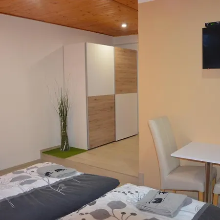 U Konicka بيت ضيافة