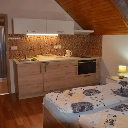 بيت ضيافة U Konicka 3*