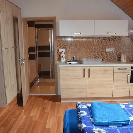 U Konicka بيت ضيافة