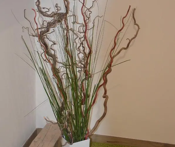 بيت ضيافة U Konicka 3*