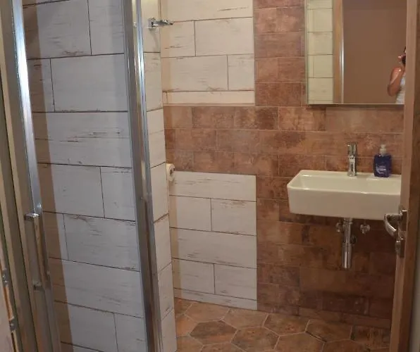 U Konicka بيت ضيافة 3*