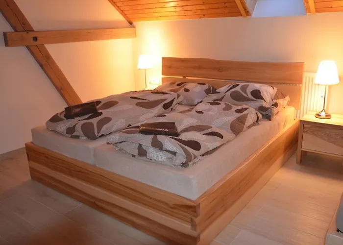 U Konicka بيت ضيافة 3*