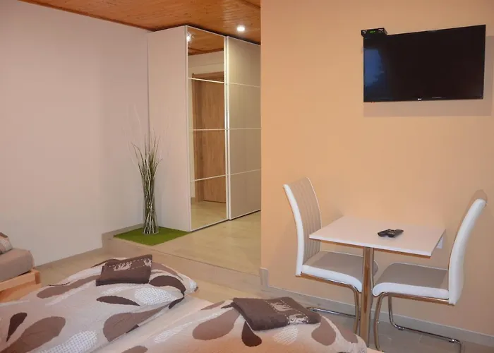 U Konicka بيت ضيافة Straziste (Mlada Boleslav)