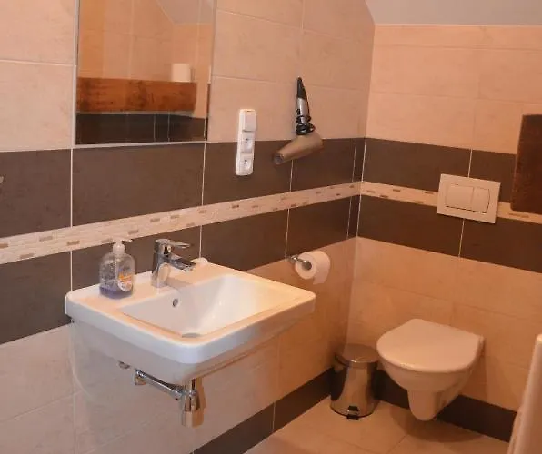 U Konicka بيت ضيافة 3*