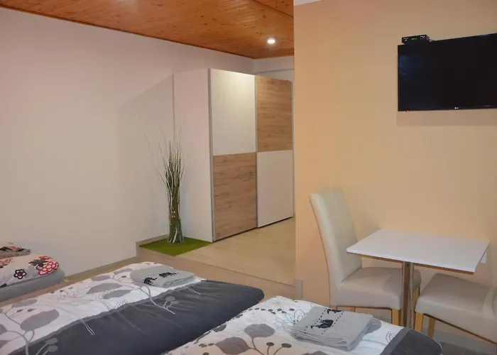 U Konicka بيت ضيافة