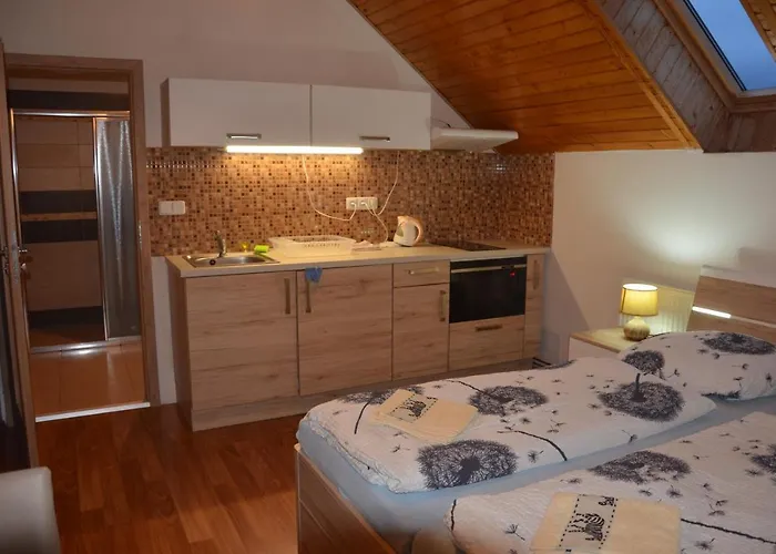 بيت ضيافة U Konicka 3*