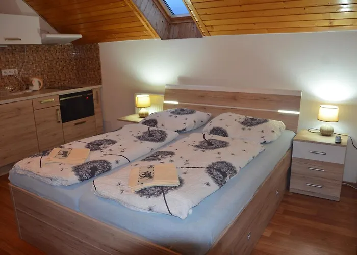 U Konicka بيت ضيافة