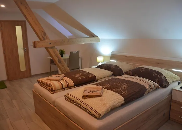 بيت ضيافة U Konicka