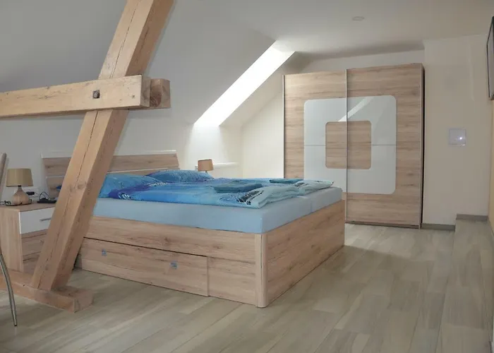 بيت ضيافة U Konicka 3*