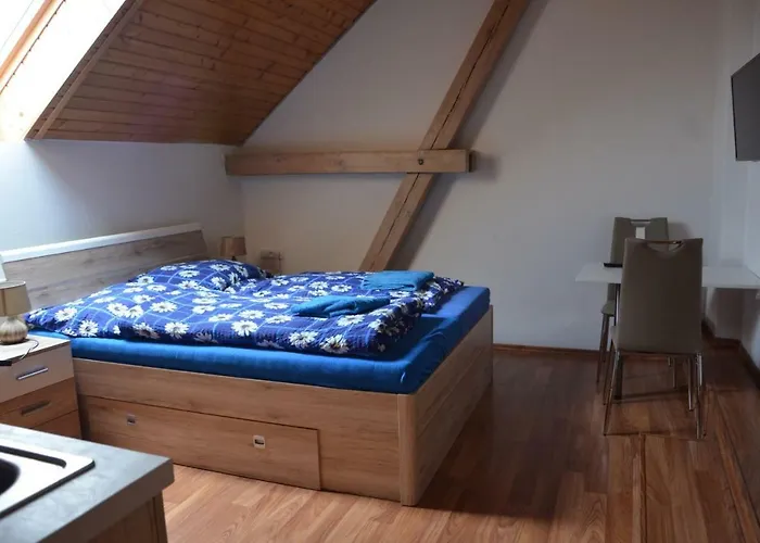 بيت ضيافة U Konicka