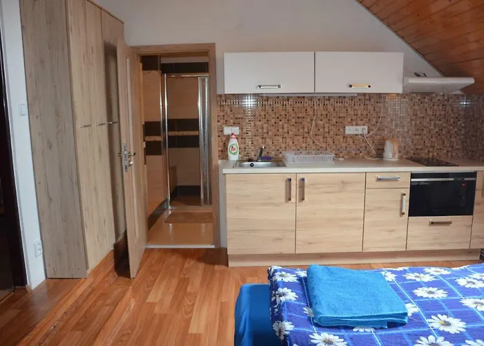 U Konicka بيت ضيافة